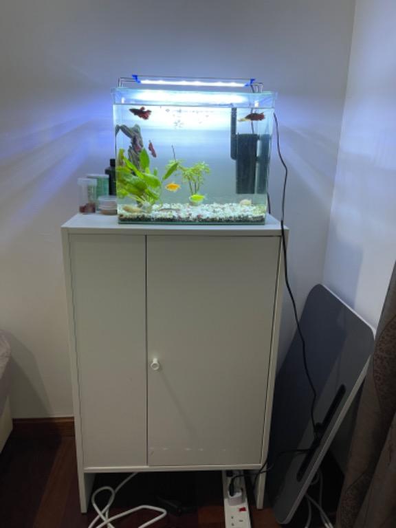 Fish tank with IKEA Furniture & Home Living, Furniture