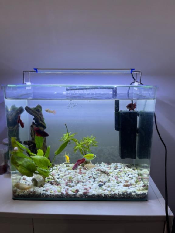 Fish tank with IKEA Furniture & Home Living, Furniture