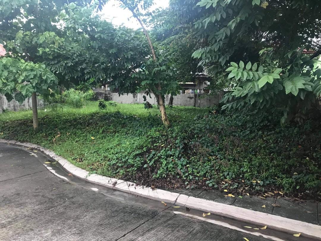 Lot at Woodridge Park Subdivision in Maa Davao City, Property, For Sale, Lot on Carousell