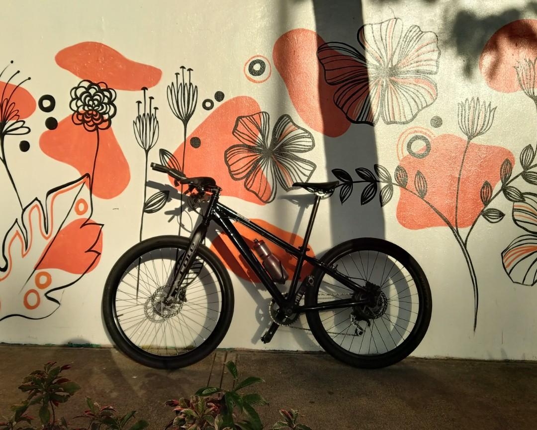 MTB RIGIDTT Setup, Sports Equipment, Bicycles & Parts, Bicycles on