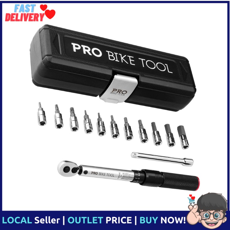 PRO BIKE TOOL 1/4 Inch Drive Click Torque Wrench Set – 2 to 20 Nm ...