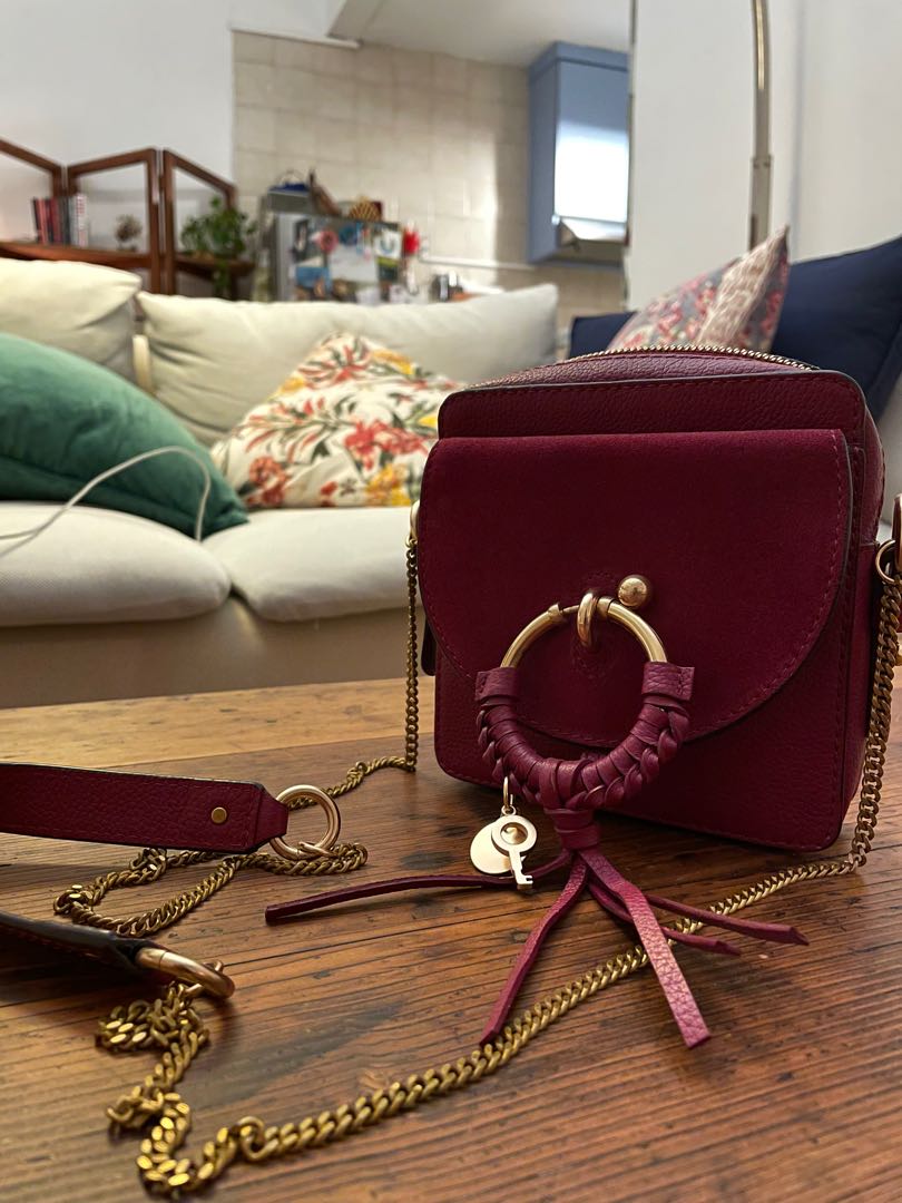 Chloe camera hotsell bag