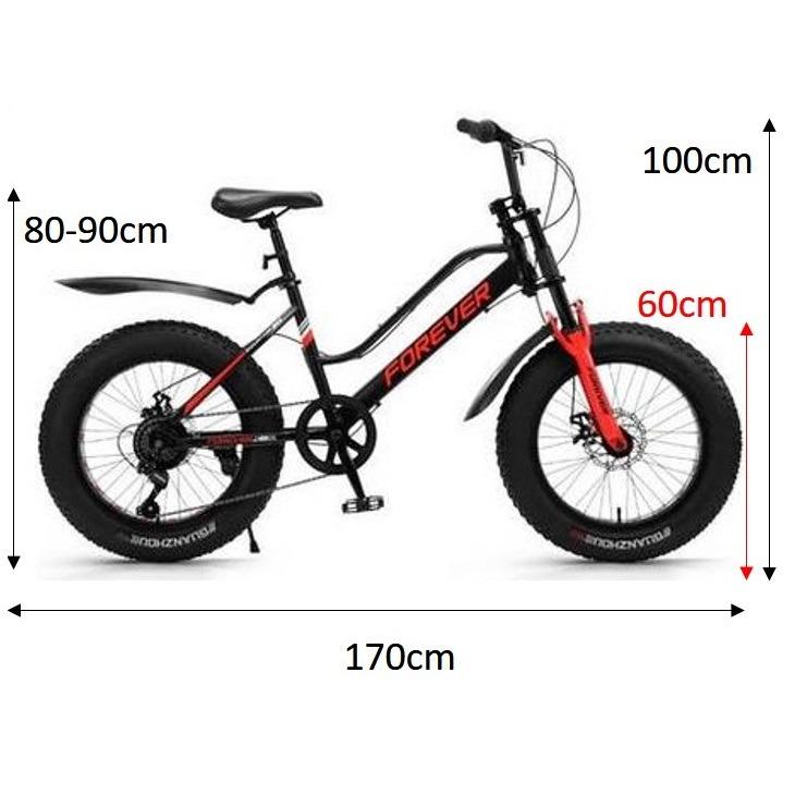 Mini fat bike price on sale