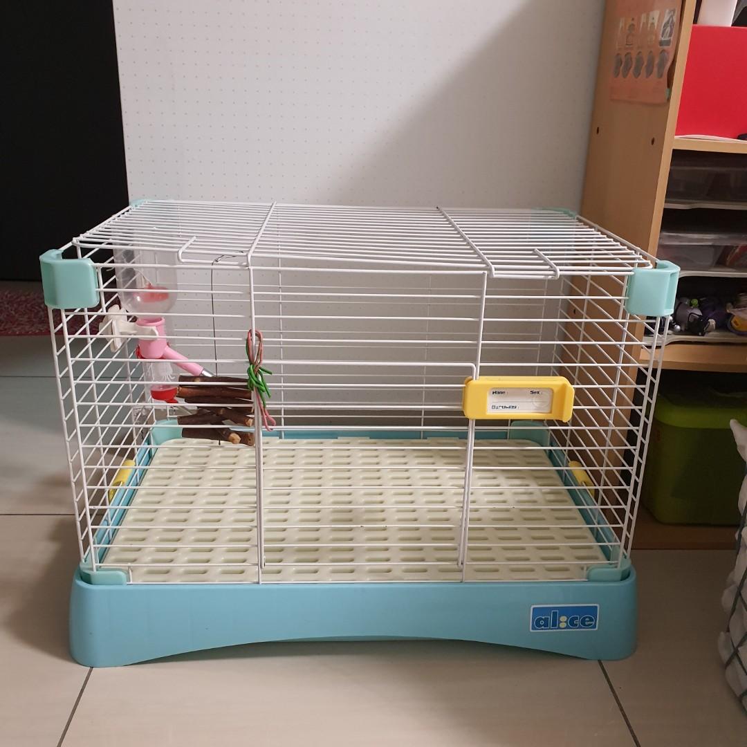 Alice rabbit cage online