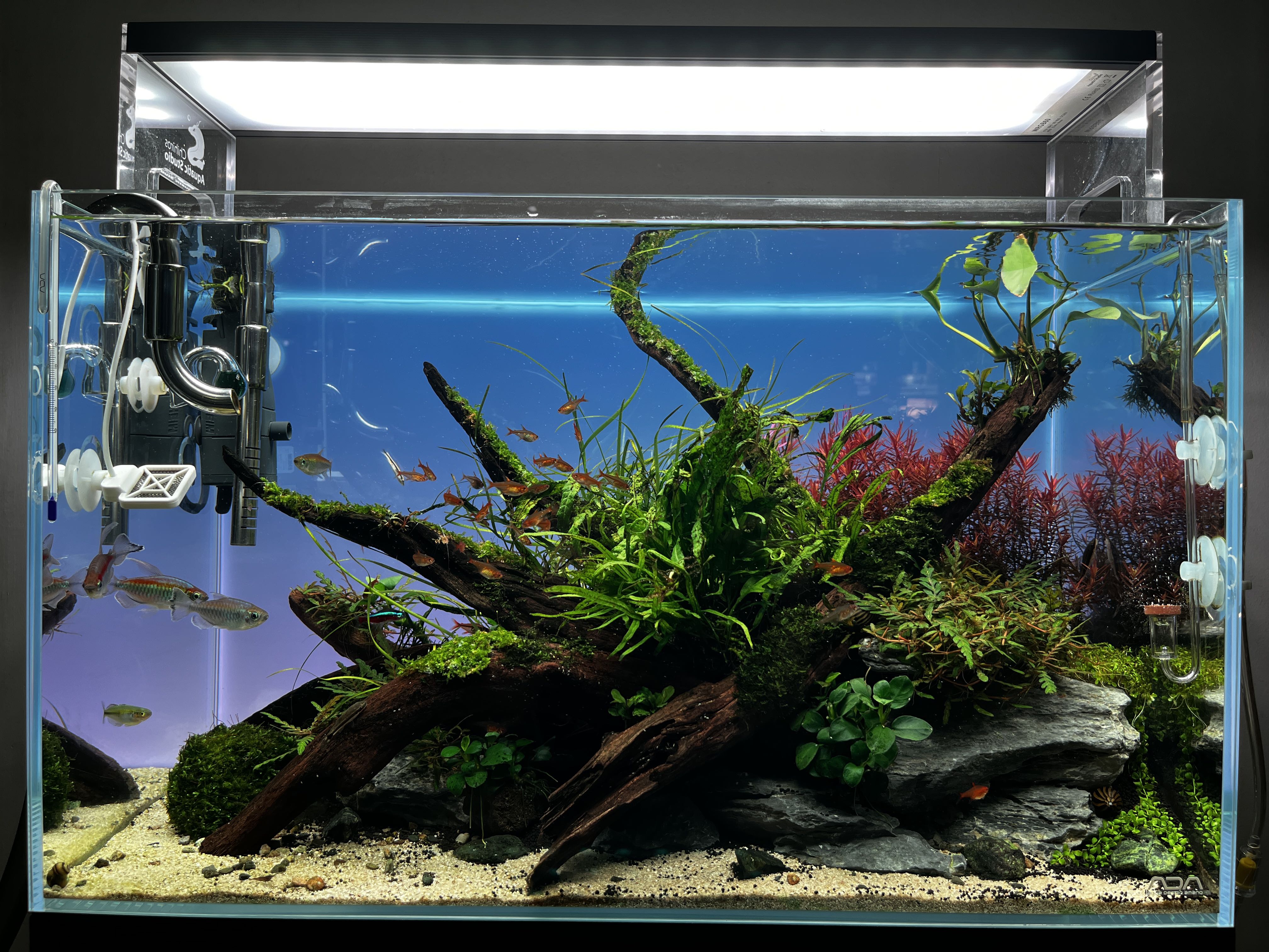 Aquarium Background lighting 60p size, Everything Else on Carousell