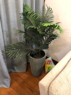 (Category: ) located in . Submitted by eizah.mad (Listing ID 1154120826, Image 1). Description: .
