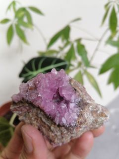 (Category: ) located in . Submitted by auralite2three (Listing ID 1153958229, Image 1). Description: .