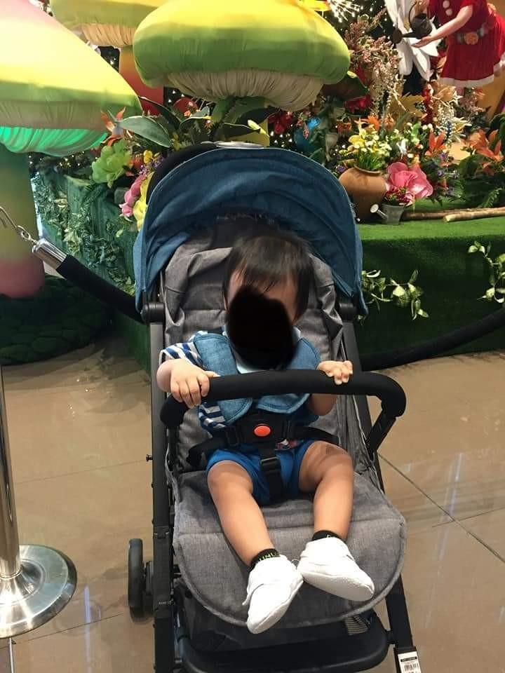 Giant carrier grayson shop stroller