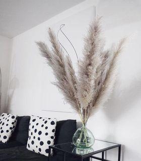 Pampas on sale ! NEW!