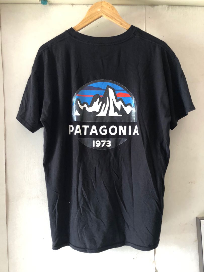 Patagonia 1973 discount logo t-shirt