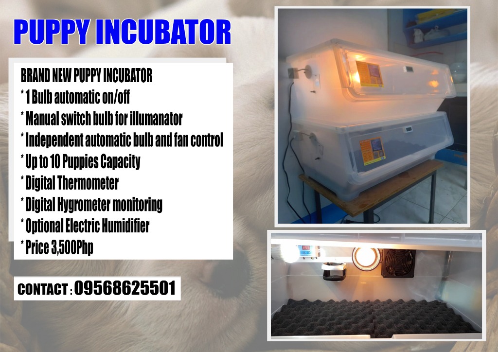 PUPPY INCUBATOR, Pet Supplies, Homes & Other Pet Accessories on Carousell