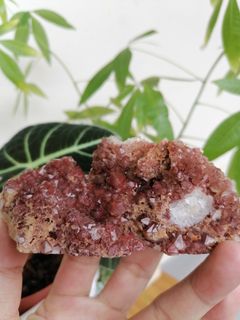 (Category: ) located in . Submitted by auralite2three (Listing ID 1153959084, Image 1). Description: .