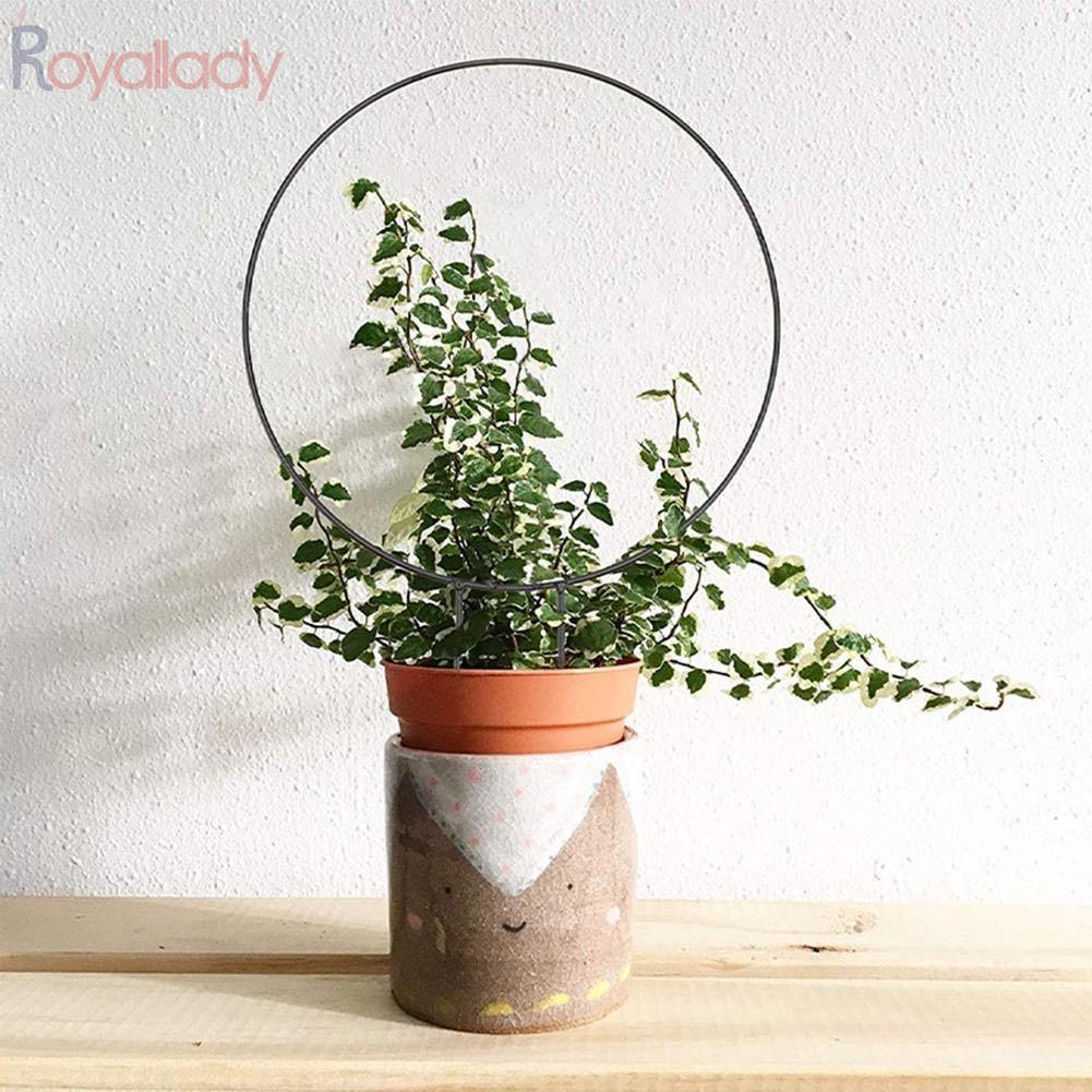 Round trellis, Furniture & Home Living, Gardening, Plants & Seeds on  Carousell