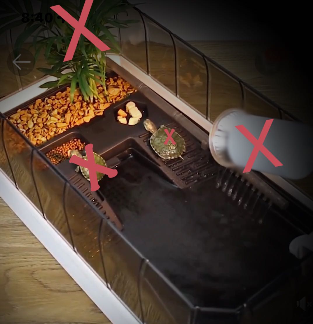 Terrapin tank with water pump, Pet Supplies, Homes & Other Pet