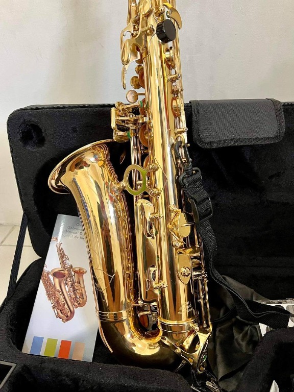 Yanagisawa Alto Saxophone A991 For Sale (Student Model), Hobbies