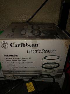 Carribean electric steamer