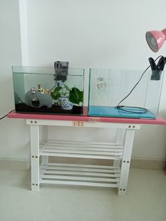 (Category: ) located in . Submitted by auntydorislim (Listing ID 1158240556, Image 1). Description: .