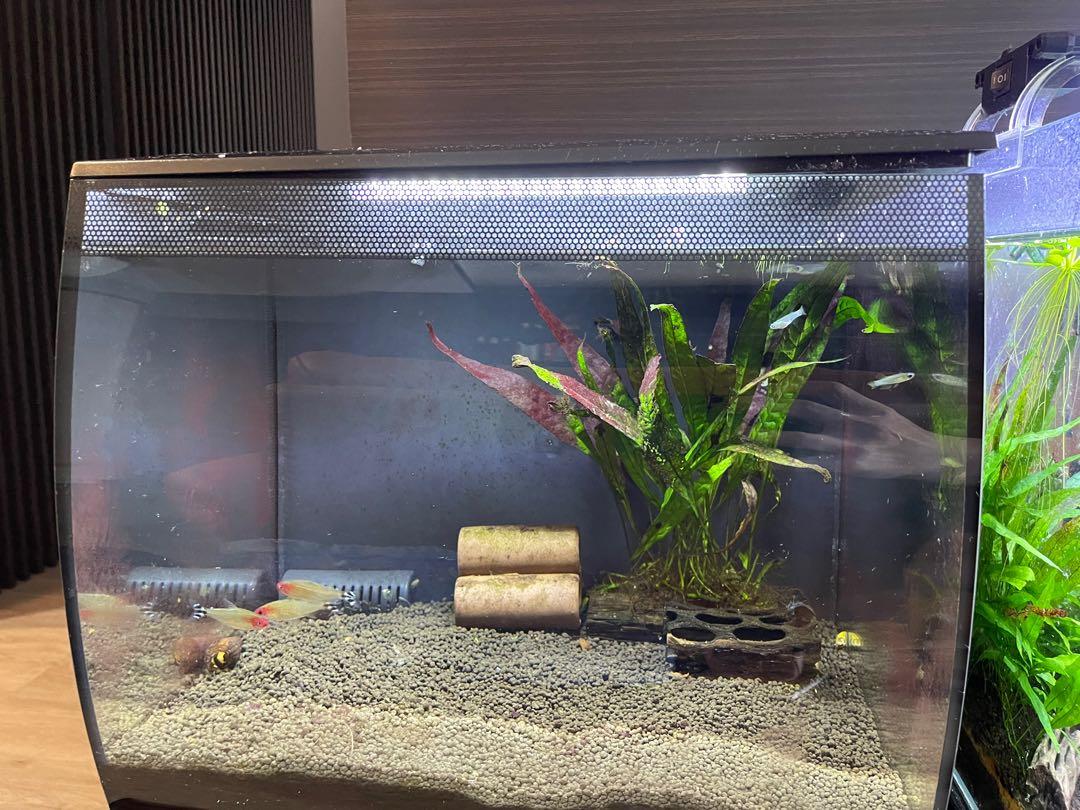 Fluval Flex 9 US Gal 34 L