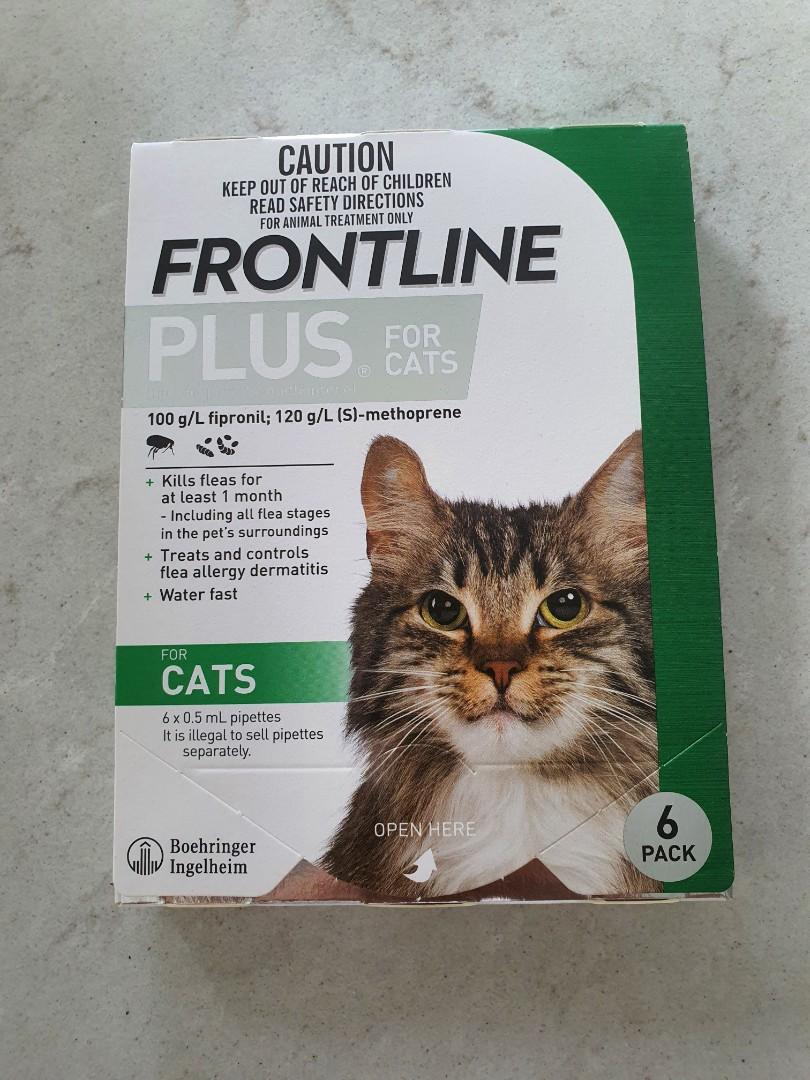 Frontline Plus for Cats (Pack of 6 pipettes). Free shipping ...