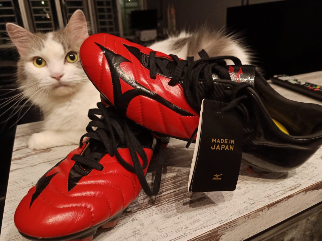 Mizuno basara online 101 mij