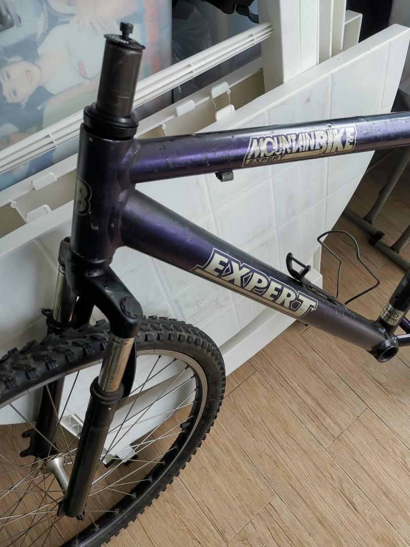 Old bicycle mtb bike frame set EXPERT 7005 series heat treated