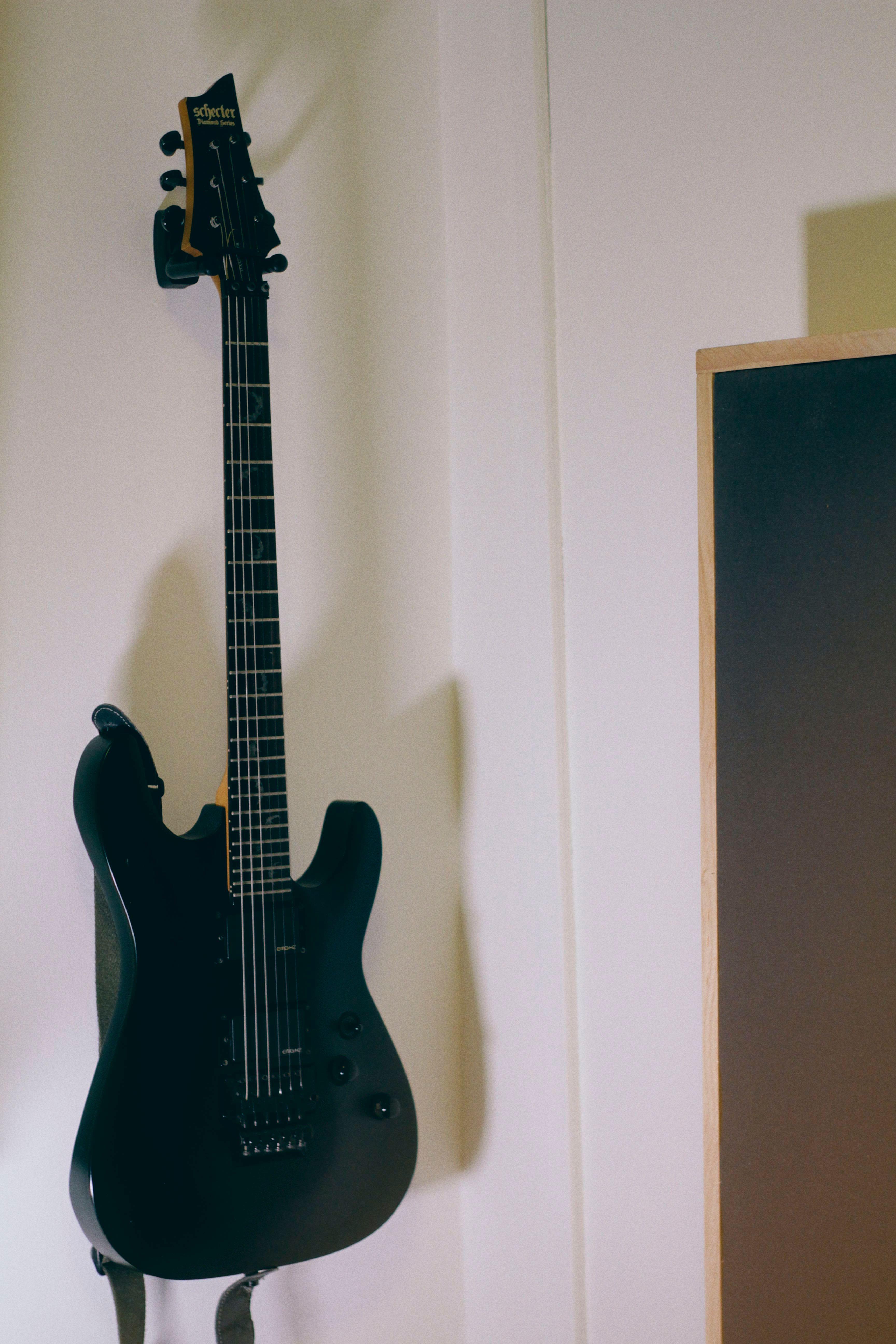 schecter diamond damien fr