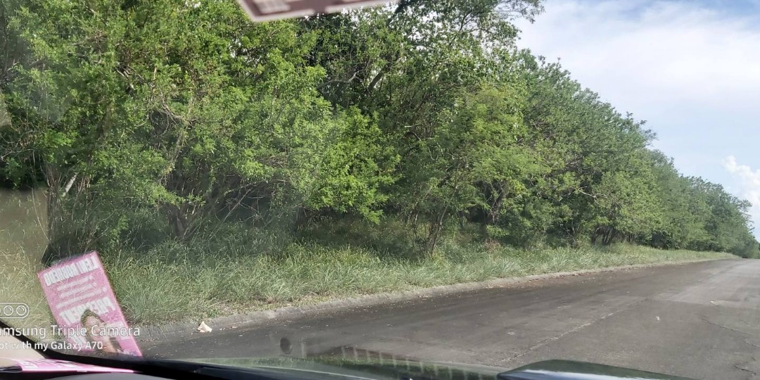 (Category: ) located in . Submitted by 007jiggers (Listing ID 1158224832, Image 1). Description: .