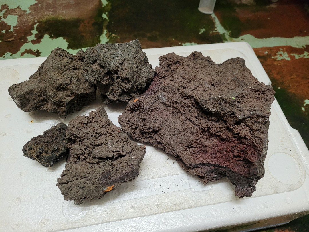 水族用品ph火山溶岩石水族擺設魚缸水晶蝦缸水草造景 寵物用品 寵物家品及其他 Carousell