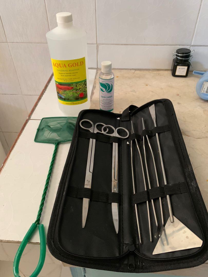 Aquascape / Aquarium 10 gallon complete setup, Pet Supplies, Homes