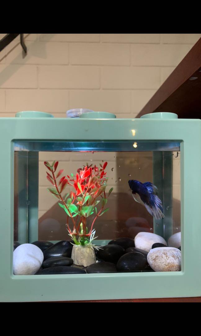Lego betta fish tank hotsell