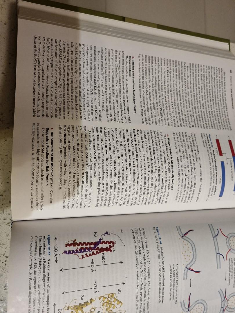 Khám Phá Bí Quyết Thành Công Và Rủi Ro Trong H3 Bet