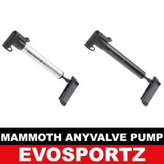 Blackburn Mammoth Anyvalve Pump | Bike Air Pump