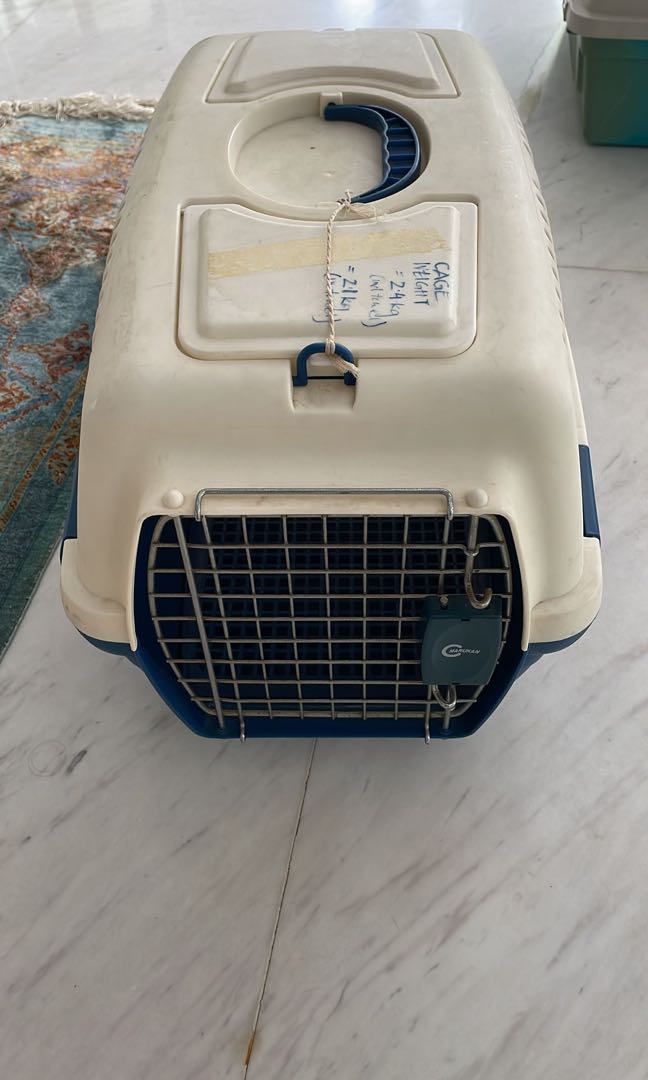 Cat carrier, Pet Supplies, Homes & Other Pet Accessories on Carousell