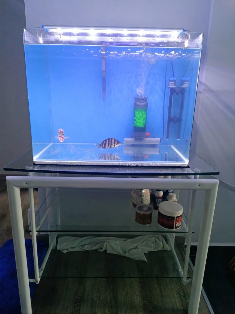 Fish tank and stand, Pet Supplies, Homes & Other Pet Accessories on