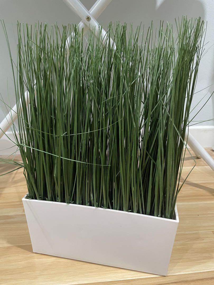 IKEA Grass in pot, Furniture & Home Living, Home Decor, Artificial