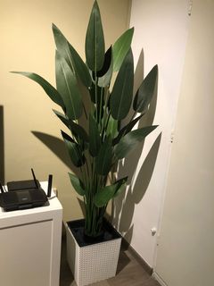 (Category: ) located in . Submitted by jul79 (Listing ID 1159926492, Image 1). Description: .