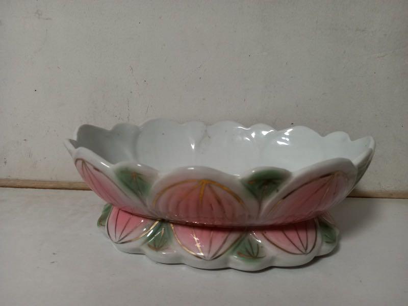 新淨水耕種植植物花盆 可以用水種植物的種類 傢俬 家居 園藝 園藝工具和裝飾品 Carousell