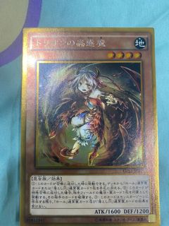 （分類：）位於 。 由 amyandamy 提交（商品編號 1160060526，圖片 1）。簡介： 。