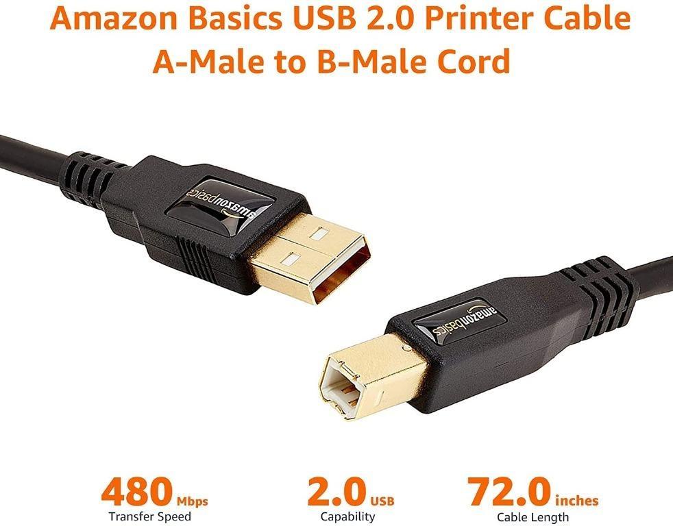 AmazonBasics USB 2.0 Cable - A-Male to B-Male - 6 Feet (1.8m ...