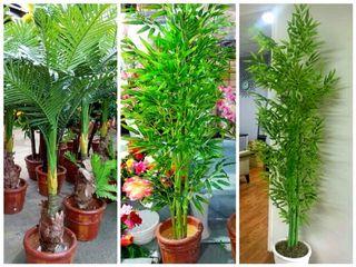 ARTIFICIAL Fake 4 feet  Plant Palmera and or Bamboo