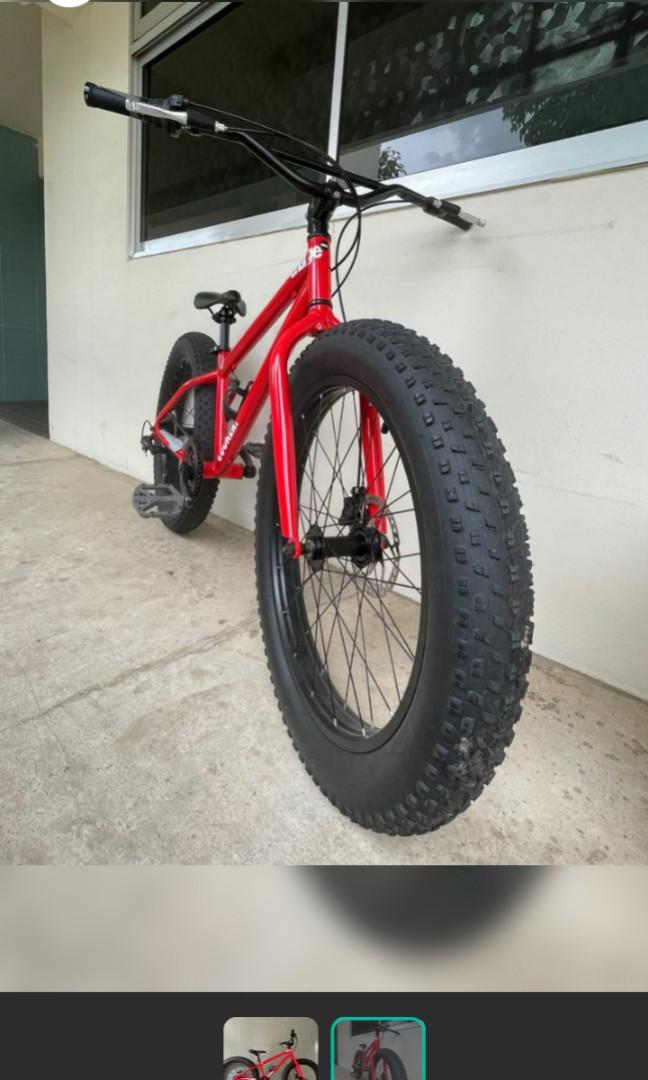 Charge cooker shop 24 fat bike