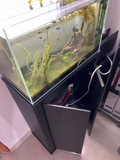 （分類：）位於 。 由 ev_or 提交（商品編號 1160066253，圖片 1）。簡介： 。