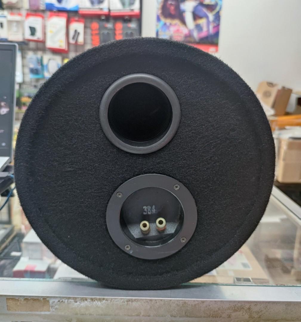 PYLE 10" inch 600W Subwoofer + Blaupunkt Bass Tube, Audio, Soundbars