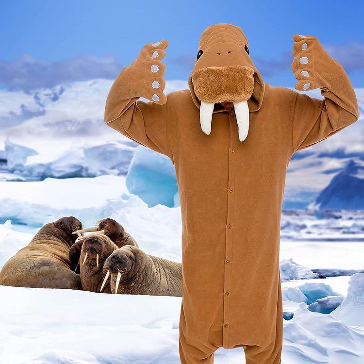 Silver Lilly Unisex Adult Animal Pajamas- Plush One Piece Halloween Walrus Animal Costume, Women's Fashion, Dresses & Sets, Jumpsuits on Carousell Silver Lilly Unisex Adult Animal Pajamas- Plush One Piece Halloween Walrus Animal Costume, Women's Fashion, Dresses & Sets, Jumpsuits on Carousell