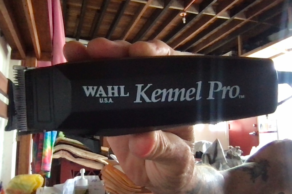Wahl kennel best sale pro