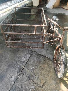 Bike with sidecar