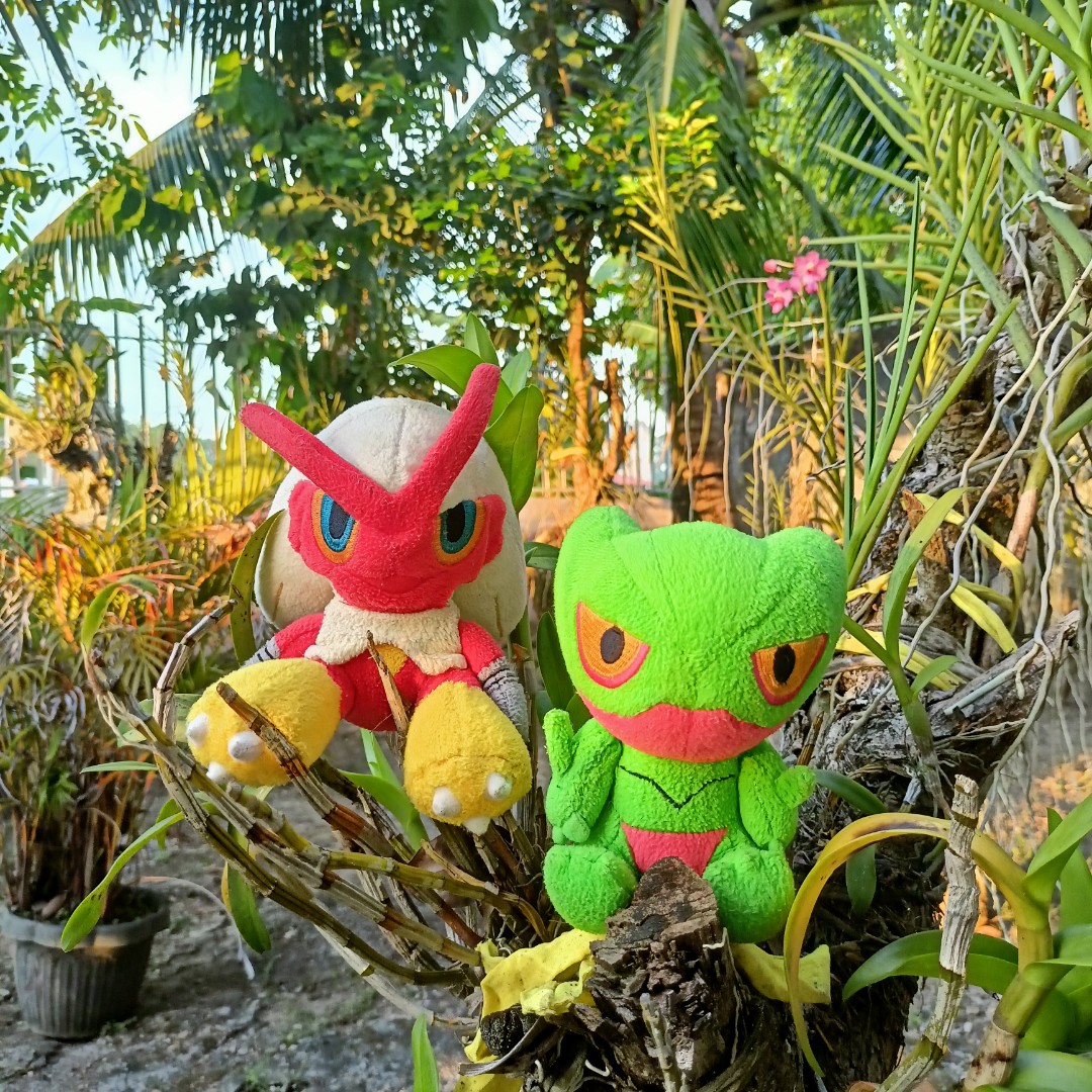 Sceptile pokedoll hot sale