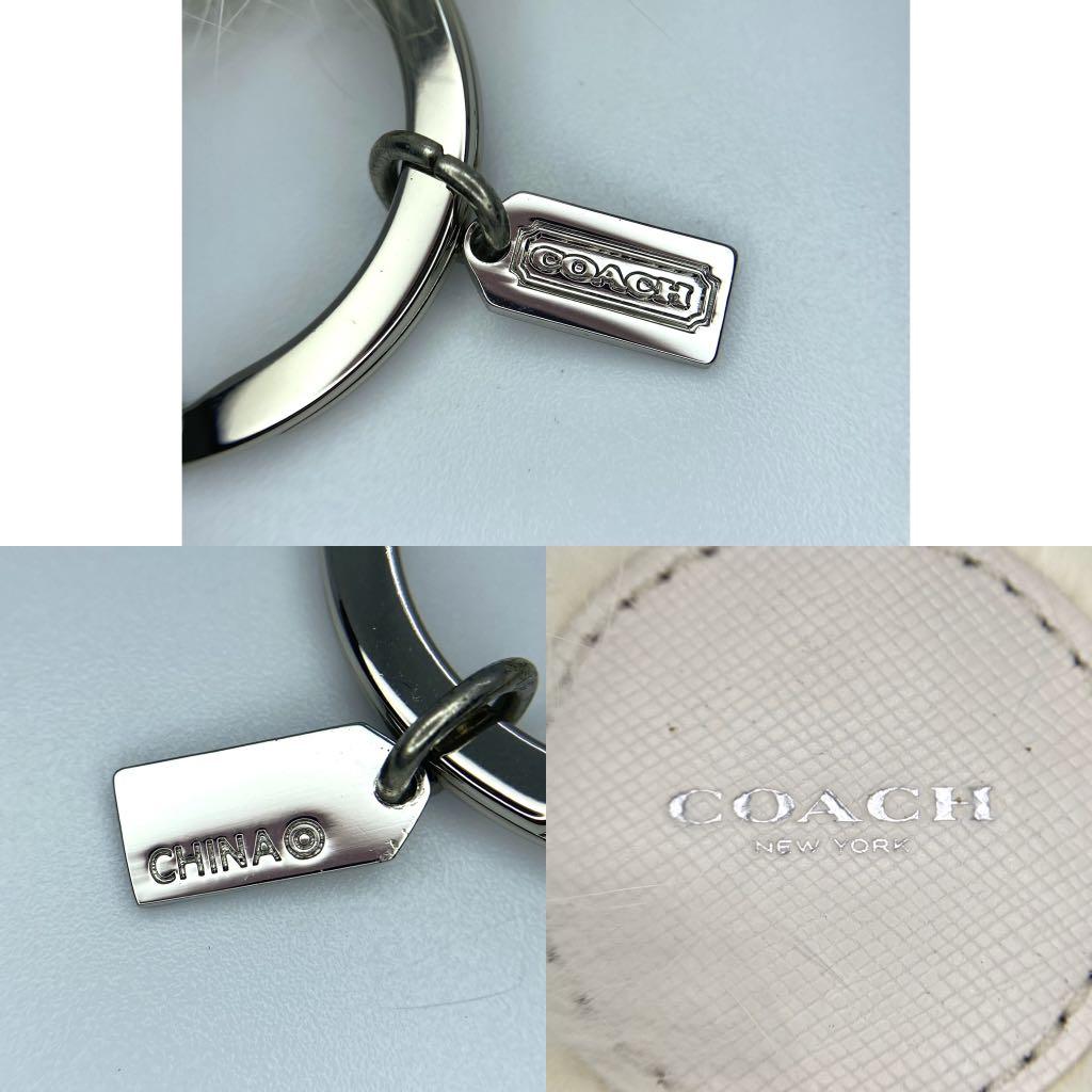Coach sales lion keychain