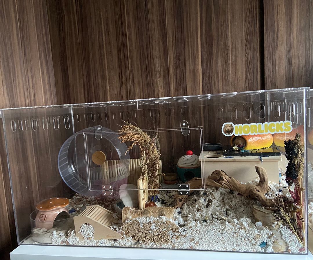 Perspex hamster cage cheap