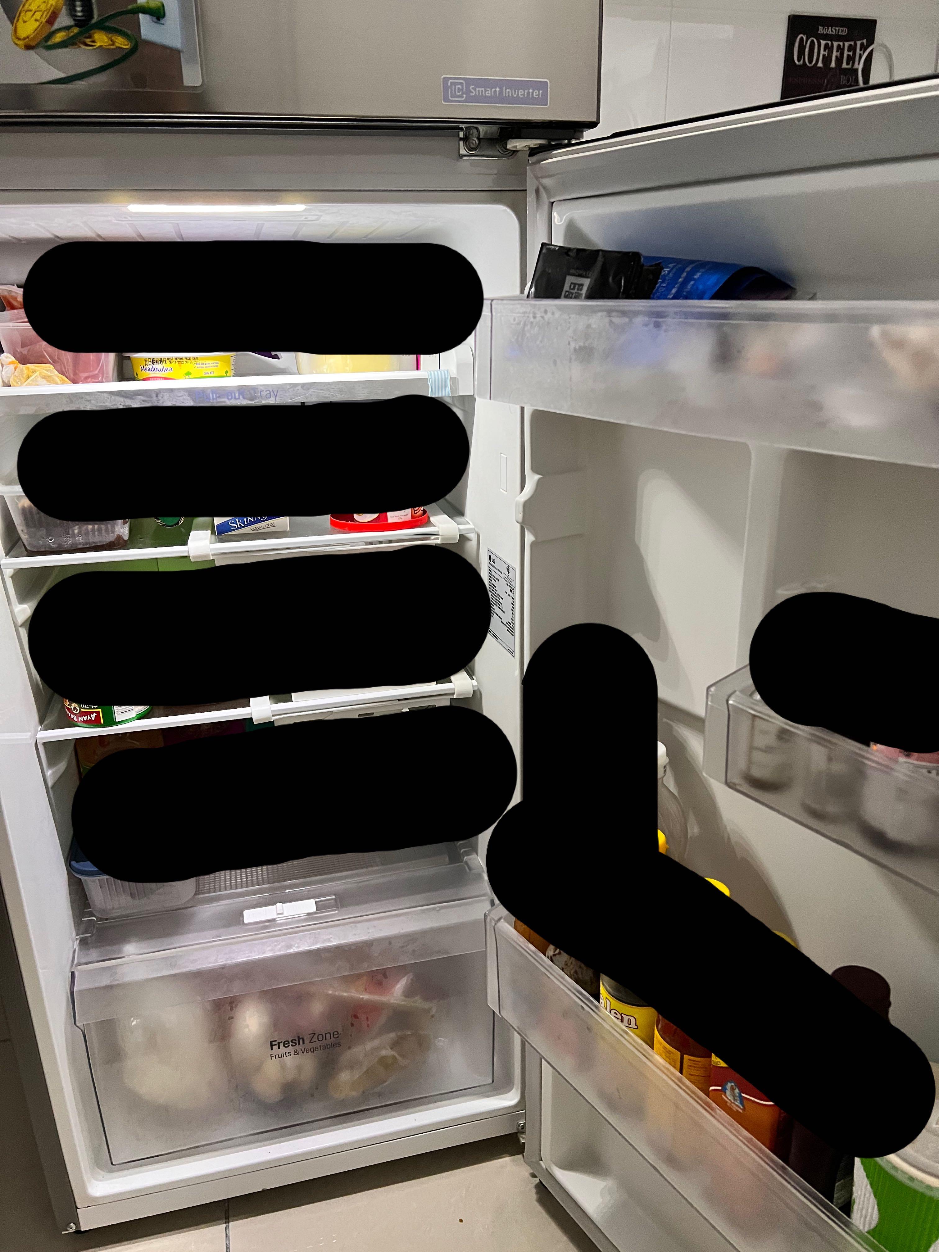 LG Smart Inverter Refrigerator 225L, TV & Home Appliances, Kitchen